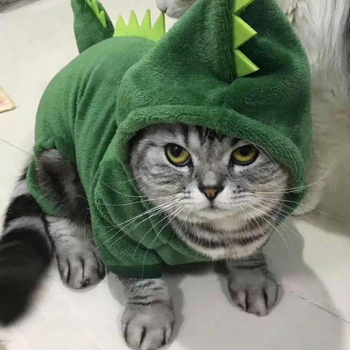 Pet Costume Hoodies