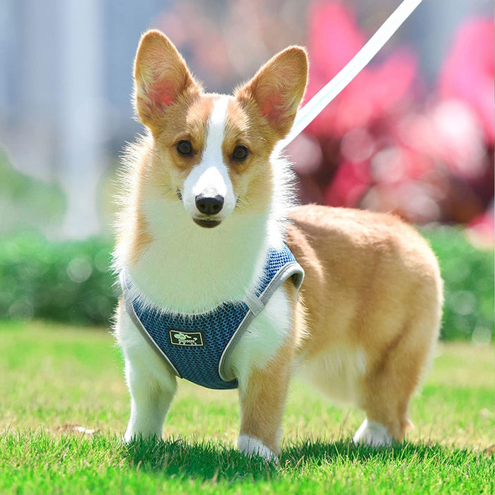 Pet Chest Strap Vest Leash