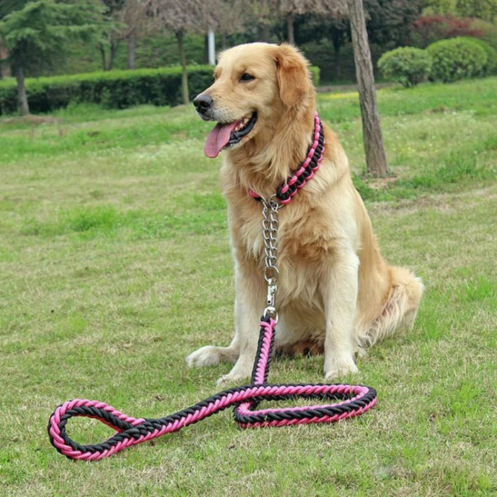 Pet Dog Collar Leash with Handle for Medium Large Dogs