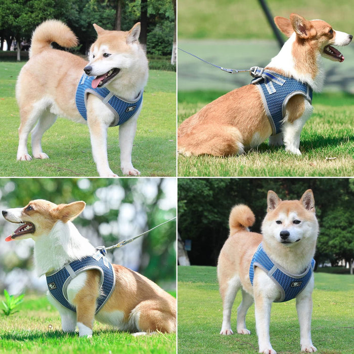 Pet Chest Strap Vest Leash