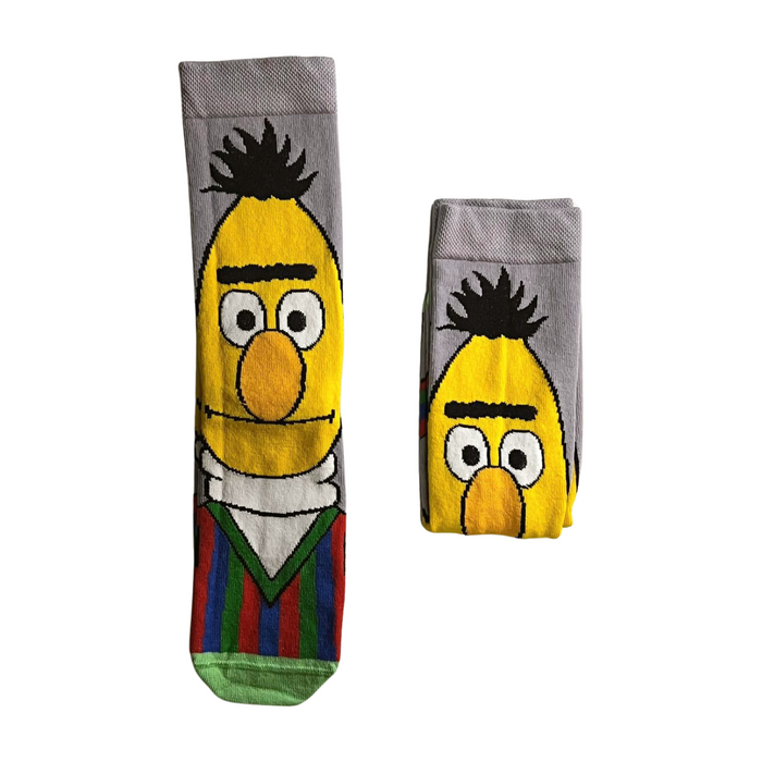 Sesame Street Bert Socks