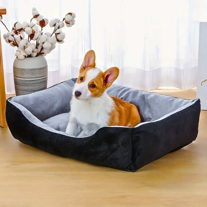 Cozy Pet Bed with Cushion