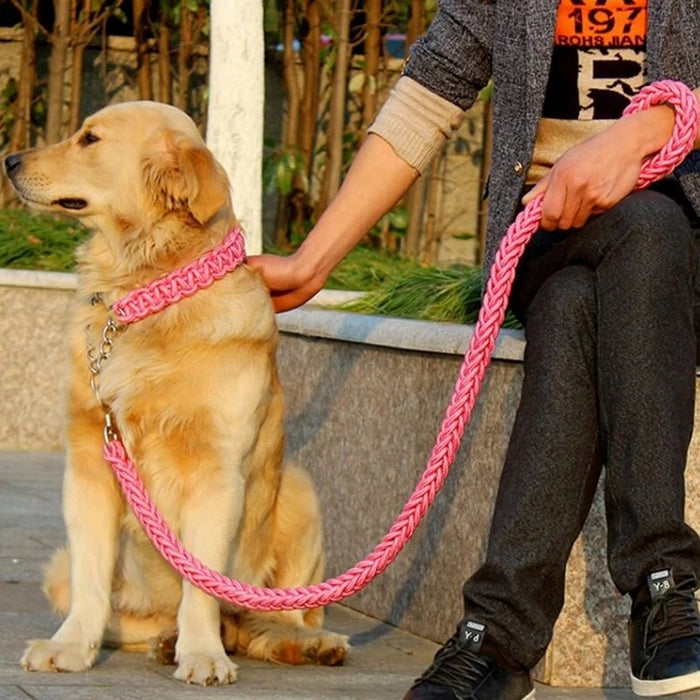 Pet Dog Collar Leash with Handle for Small Medium Dogs