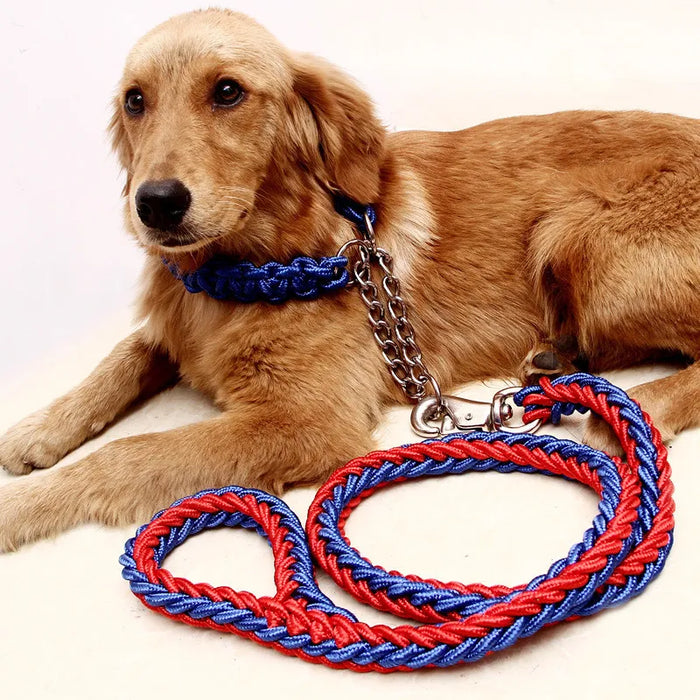 Pet Dog Collar Leash with Handle for Small Medium Dogs