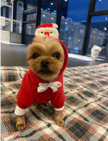 Pet Christmas Hoodie