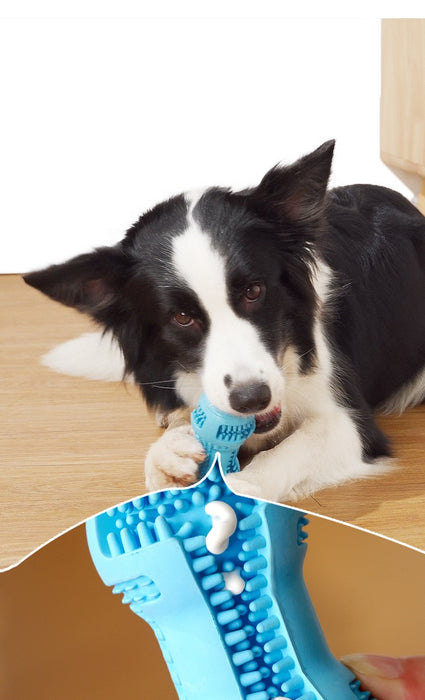 Pet Dog Chew and Teething Toy