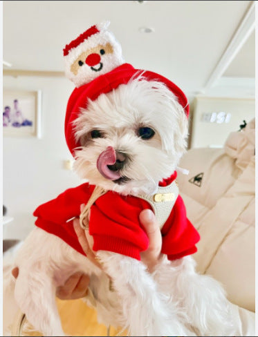 Pet Christmas Hoodie