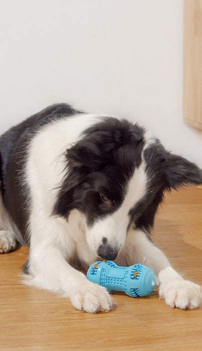 Pet Dog Chew and Teething Toy