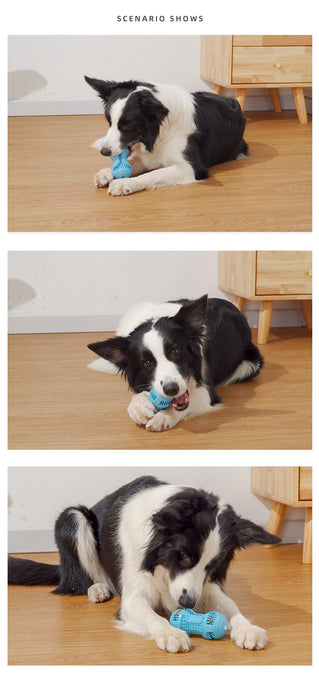 Pet Dog Chew and Teething Toy