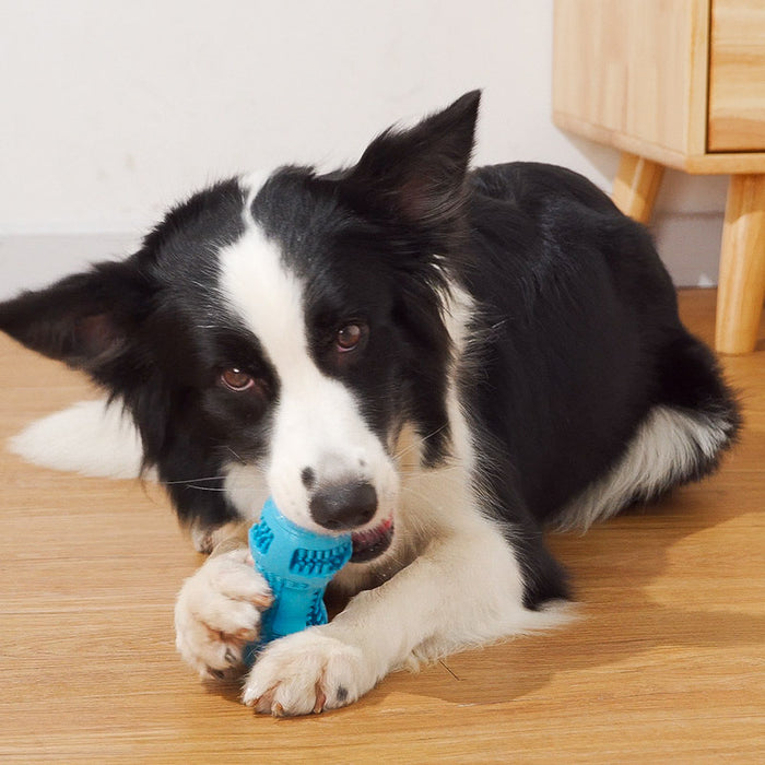 Pet Dog Chew and Teething Toy