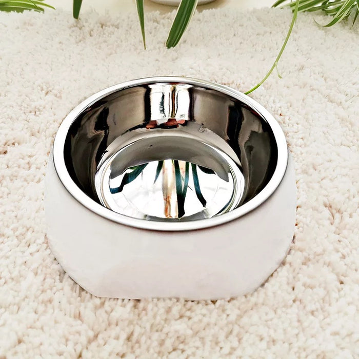 Pet Bowl Feeder